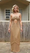 Front view of model wearing beige strapless crochet maxi dress with fringe