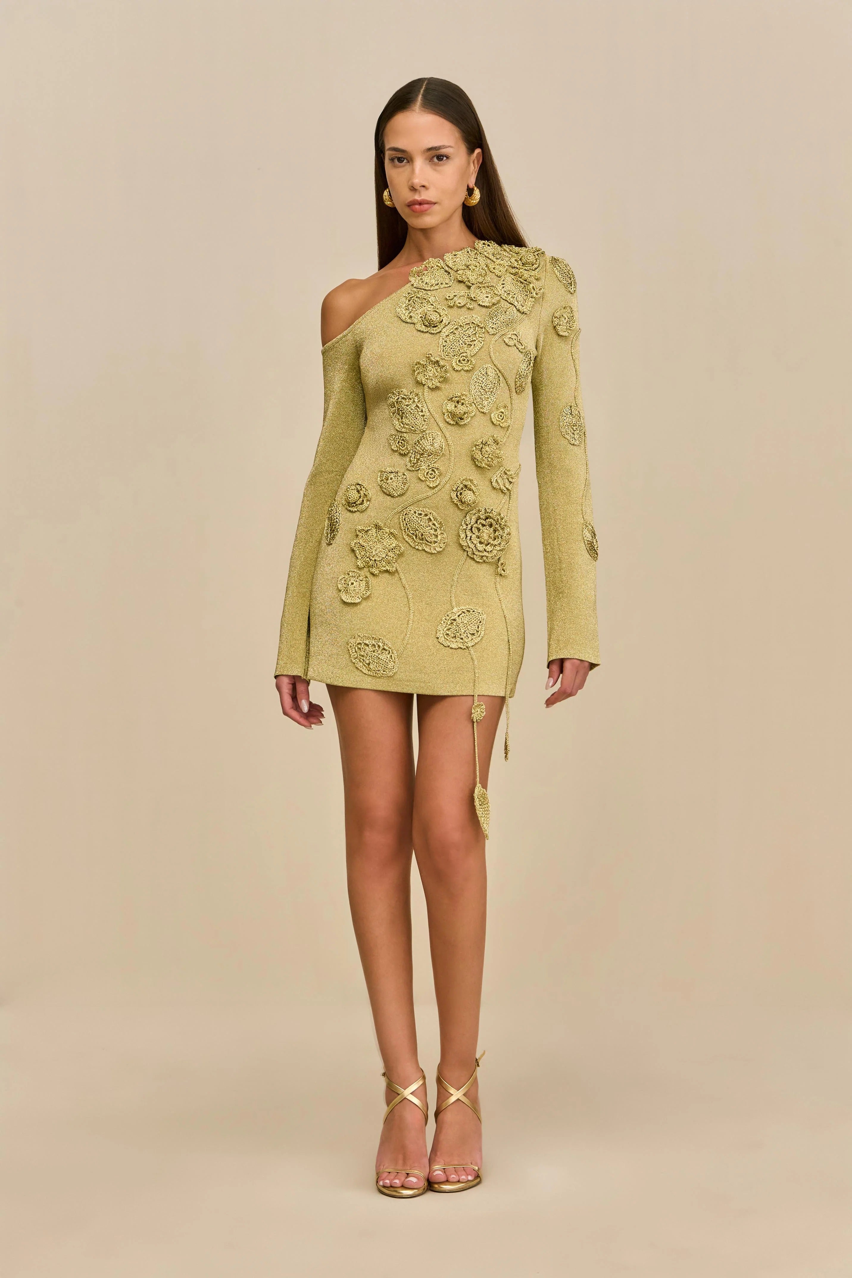 Kaela Floral Appliqué Mini Dress