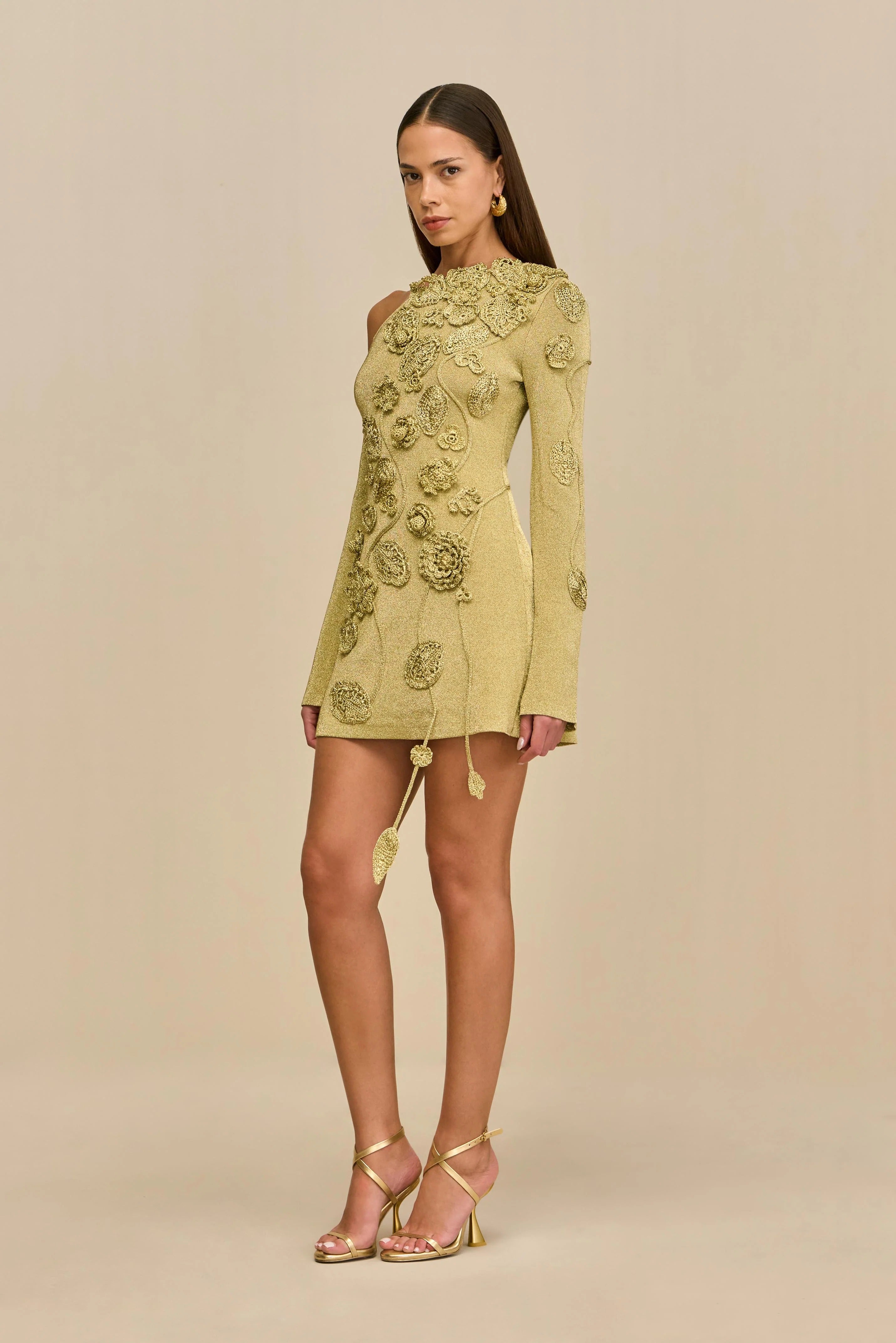 Kaela Floral Appliqué Mini Dress